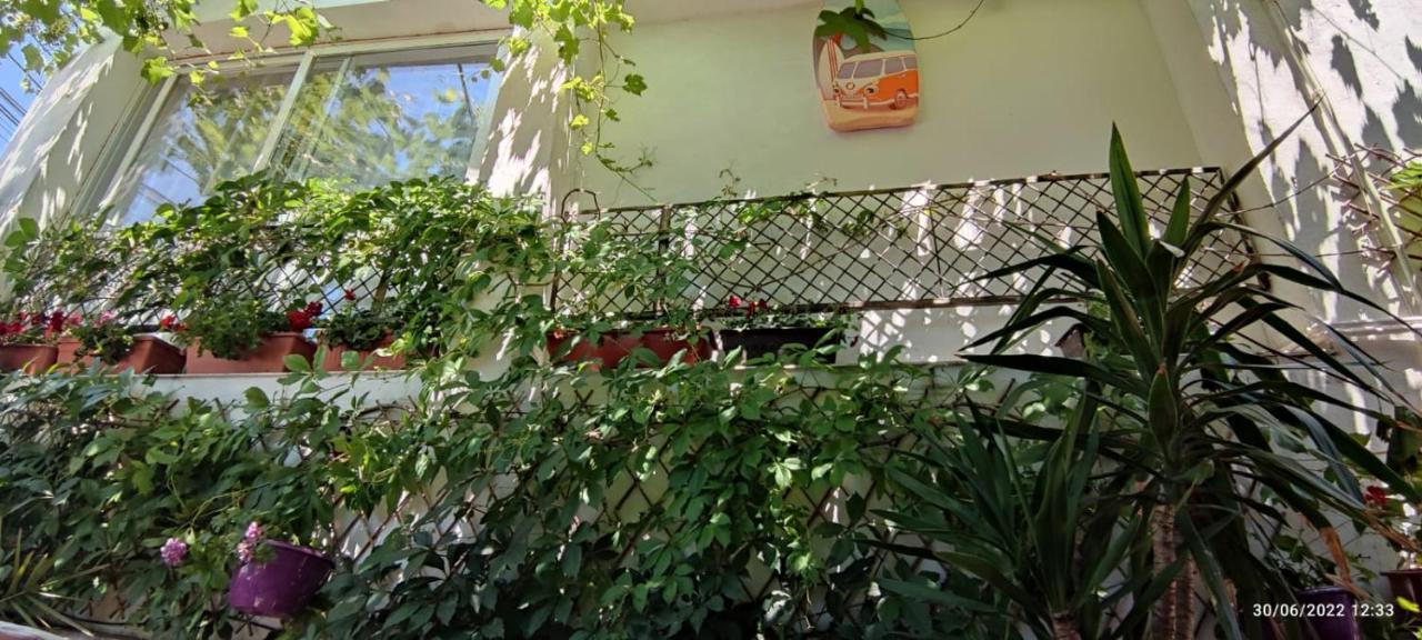 Vila Traian Si Teodora Costinesti Ngoại thất bức ảnh